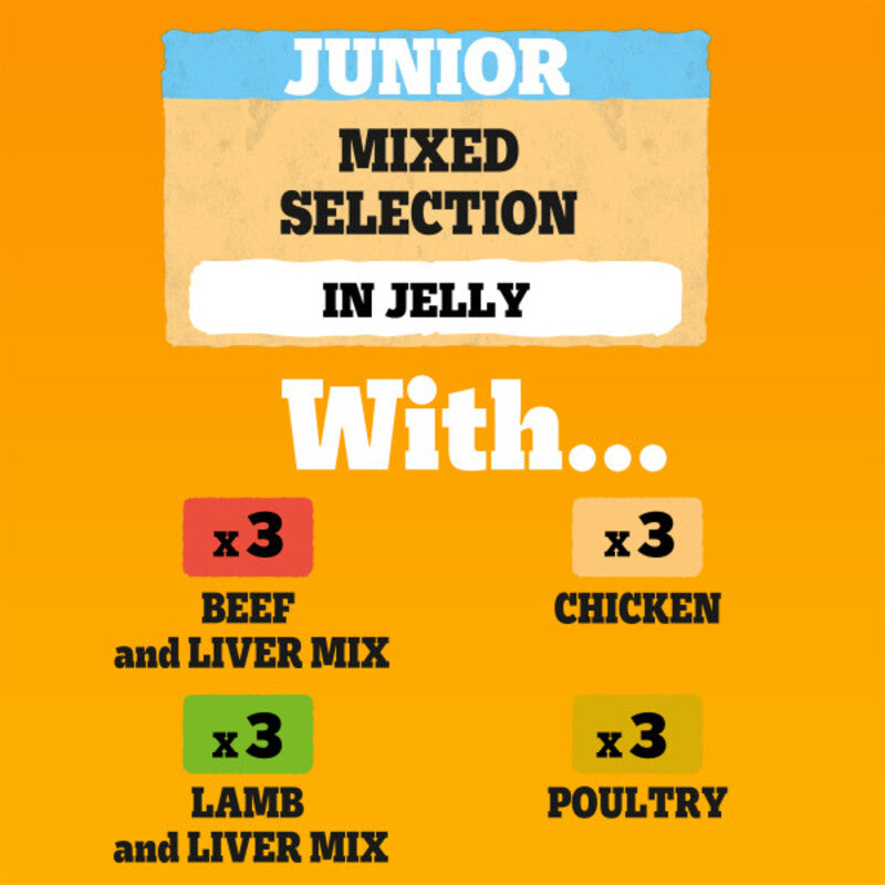 Pedigree Puppy Mixed Selection in Jelly 100g x 12 x 4