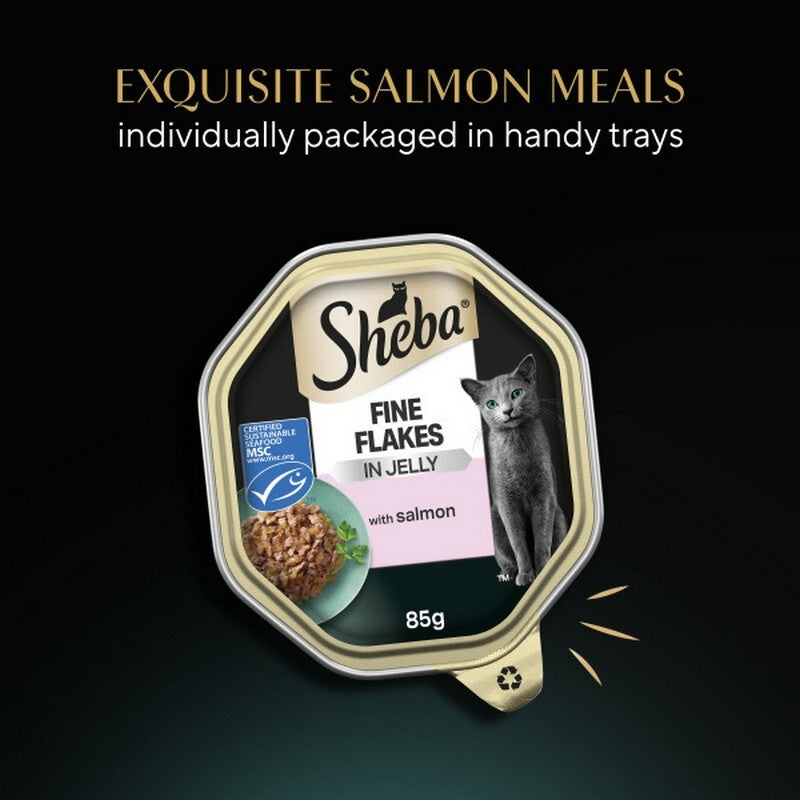 Sheba Fine Flakes Salmon in Jelly Trays 85g x 22