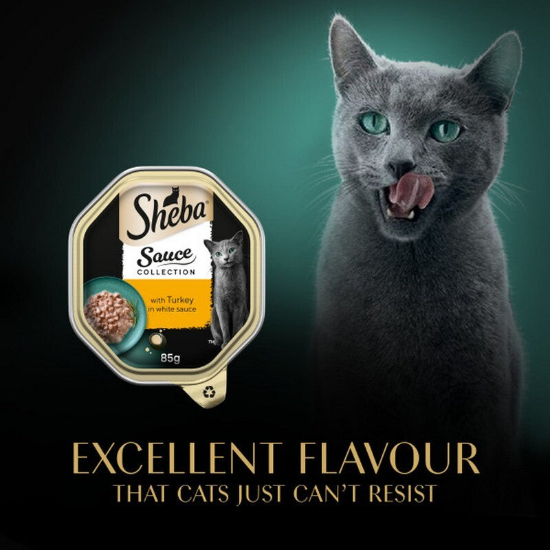 Sheba Fine Recipes Turkey in Gravy Trays 85g x 22