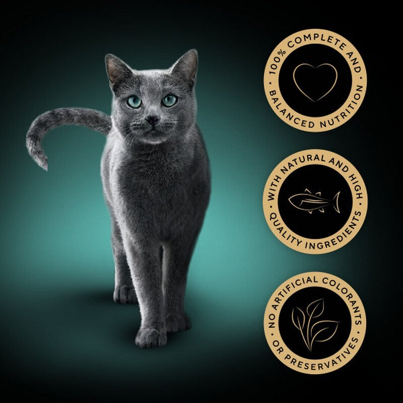 Sheba Tray Sauce Collection Tuna 85g x 22