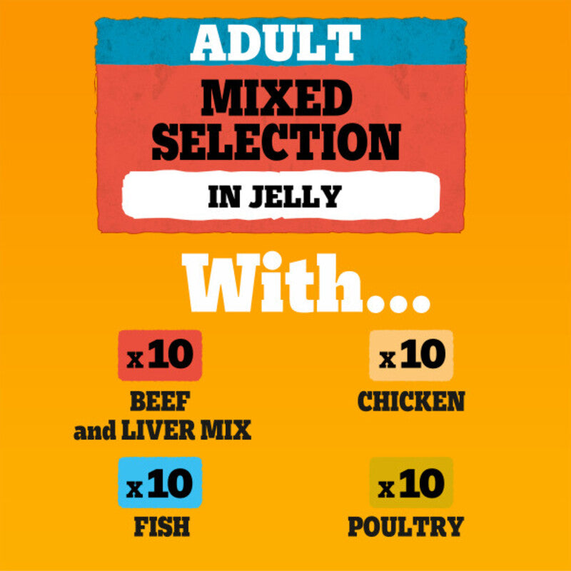 Pedigree Adult Mixed Selection in Jelly 100g x 40