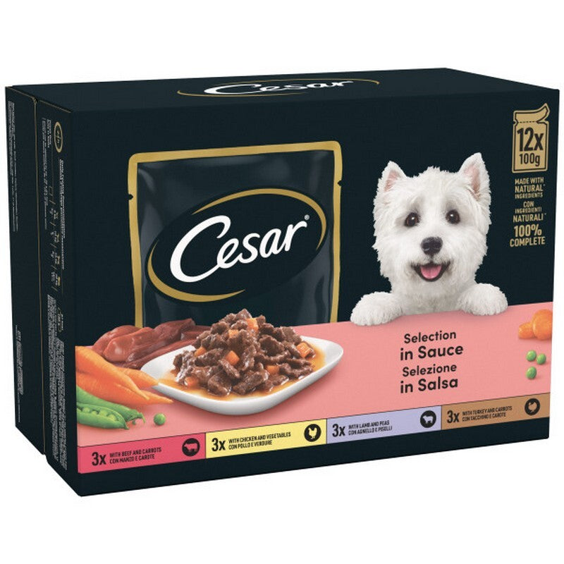 Cesar Tray Senior 10+ in Delicate Jelly 150g x 8 x 3