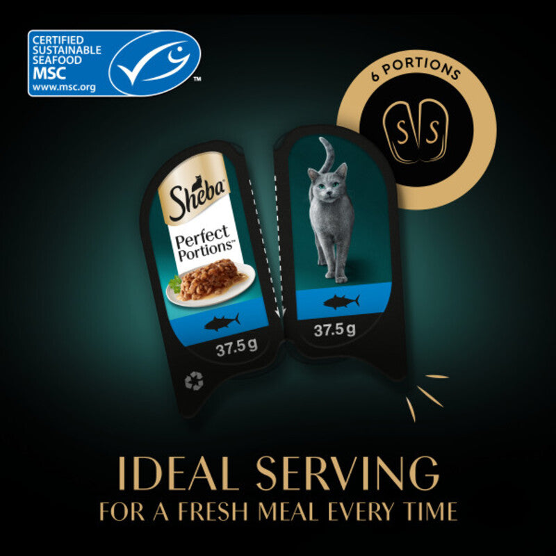Sheba Perfect Portions with Tuna Chunks in Gravy Trays (2x37.5g) x 3 x 8