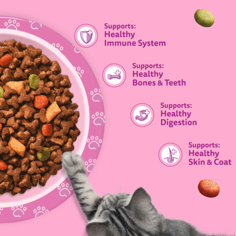 Whiskas Dry 2-12 Month Kitten Chicken 7kg