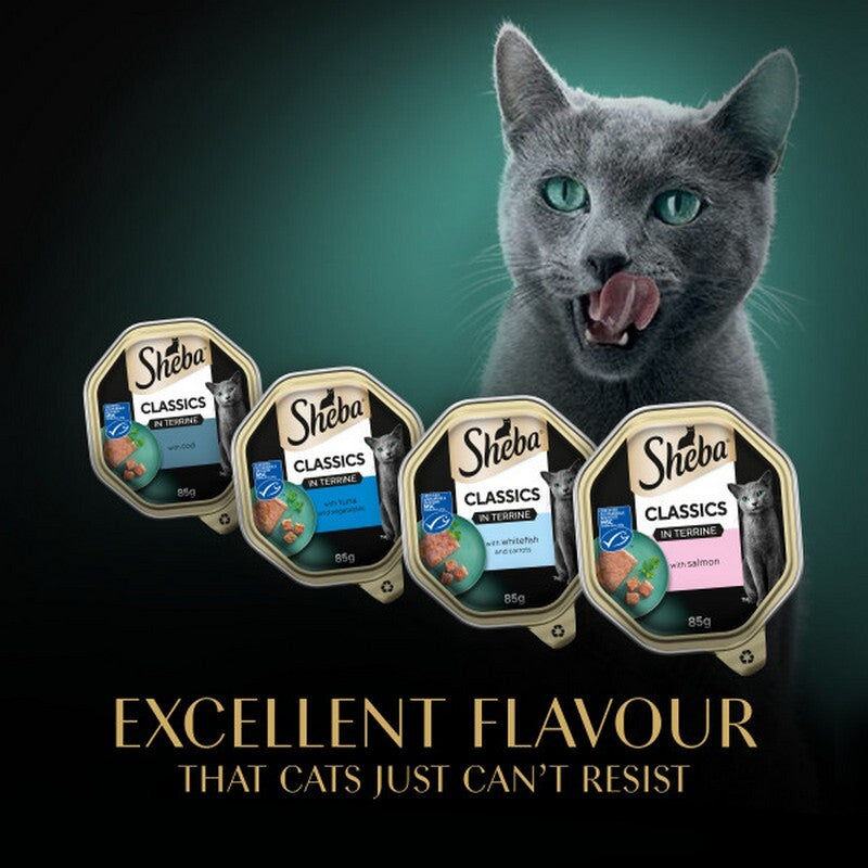 Sheba Classic Ocean Selection in Terrine Tray 85g x 32
