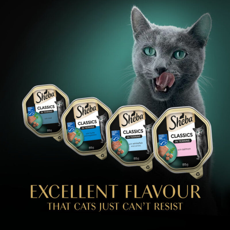 Sheba Classic Ocean Selection in Terrine Trays 85g x 8 x 4