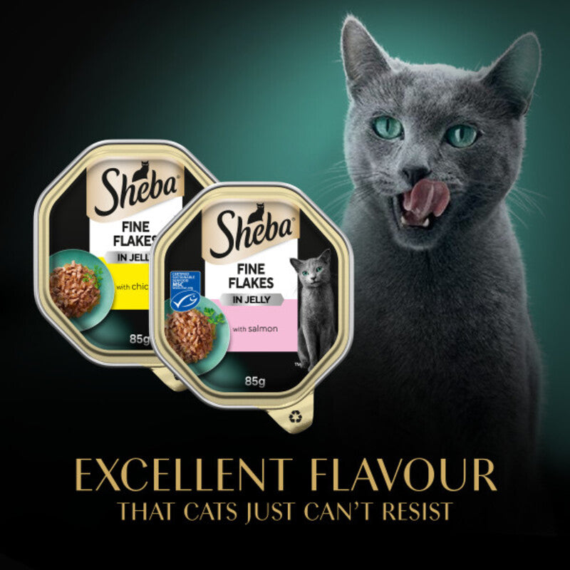 Sheba Fine Flakes Mixed Selection in Jelly Trays 85g x 8 x 4