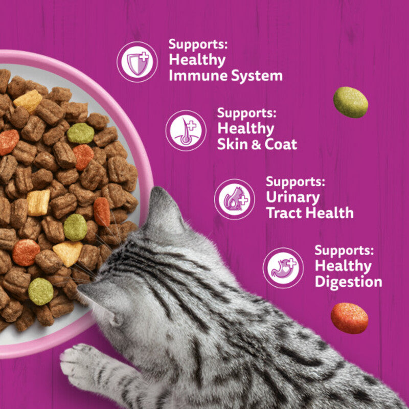 Whiskas Dry 1+ Adult Salmon 800g x 5