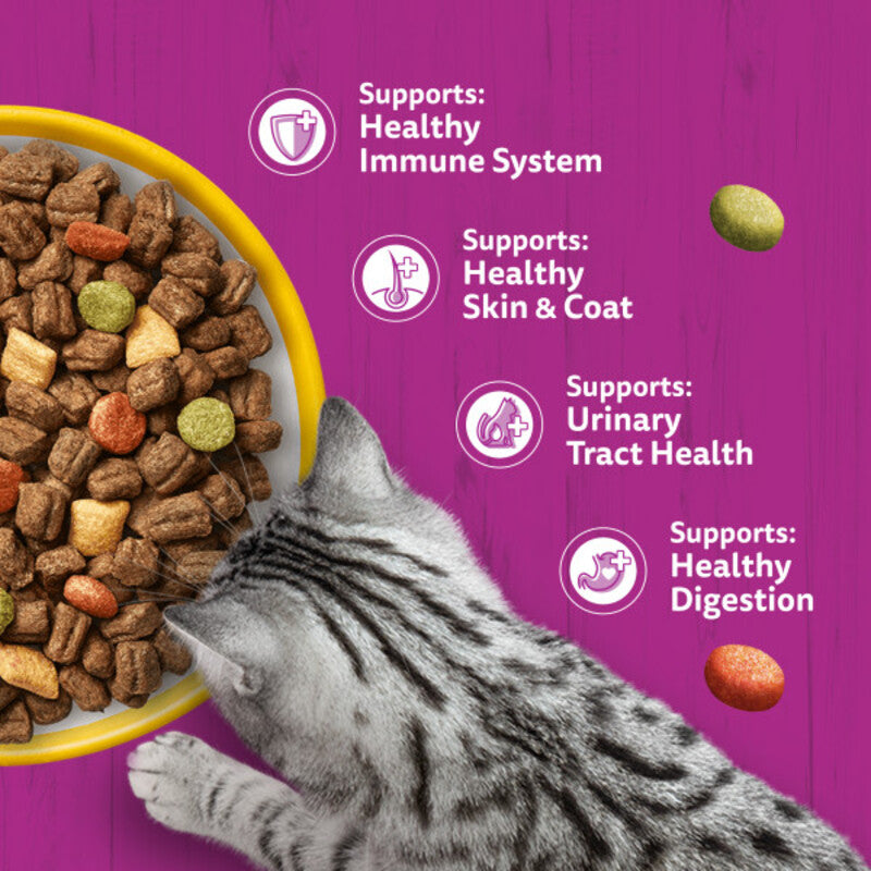 Whiskas Dry 1+ Adult Chicken 800g x 5