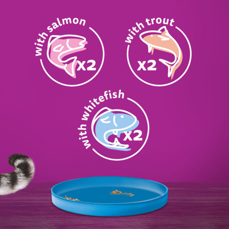 Whiskas 1+ Adult Ocean Menu in Jelly Tins 400g x 6 x 4