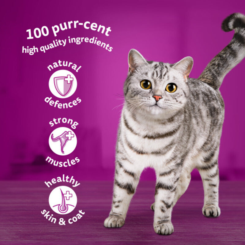 Whiskas Adult 1+ Tuna in Jelly Pouches 85g x 28