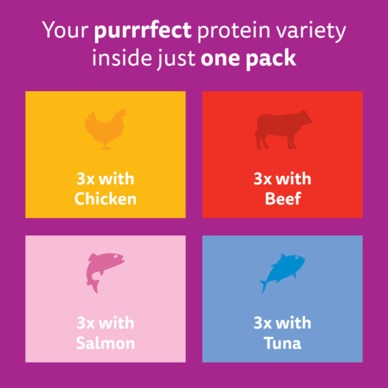Whiskas Adult 1+ Mixed Menu in Jelly 85g x 12 x 4