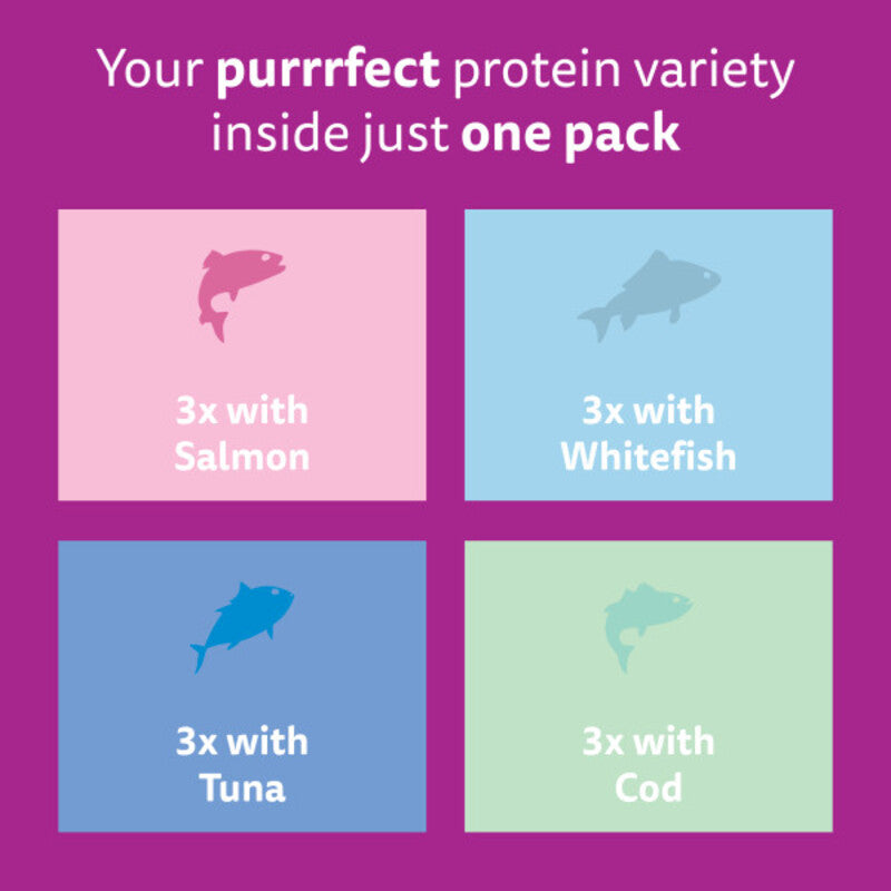 Whiskas Adult 1+ Fish Favourites in Jelly Pouches 85g x 12 x 4