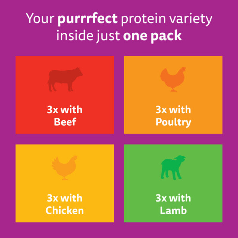 Whiskas Adult 1+ Meaty Meals in Gravy Pouches 85g x 12 x 4