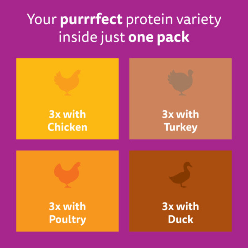 Whiskas Adult 1+ Poultry Feasts in Jelly Pouches 85g x 12 x 4