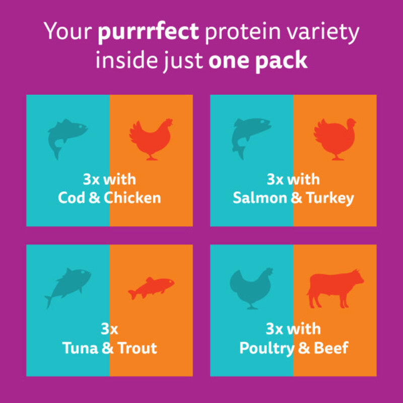 Whiskas Adult 1+ Duo Surf & Turf in Jelly 85g x 12 x 4
