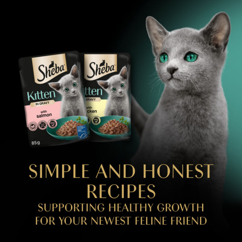 Sheba Sauce Collection Kitten Mixed Selection in Gravy Pouches 85g x 40