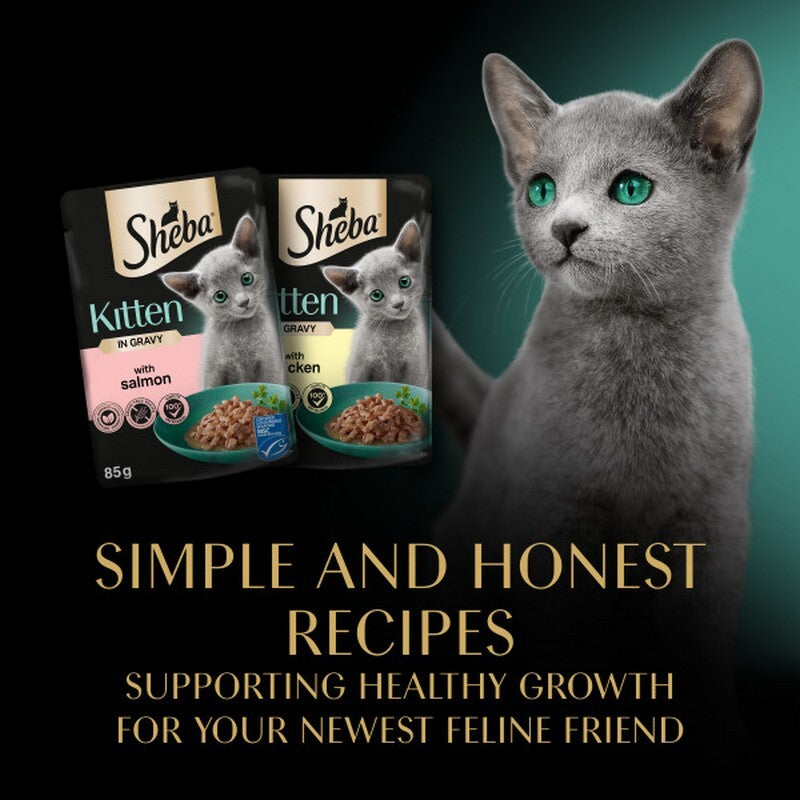 Sheba Sauce Collection Kitten Mixed Selection in Gravy 85g x 12 x 4