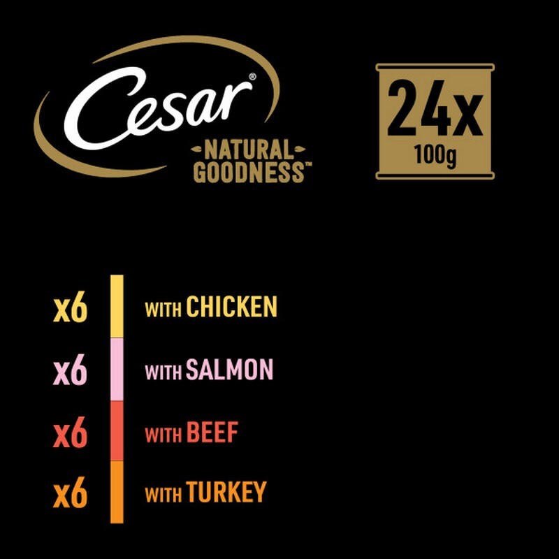 Cesar Natural Goodness Casserole Mixed Selection in Gravy 100g x 24