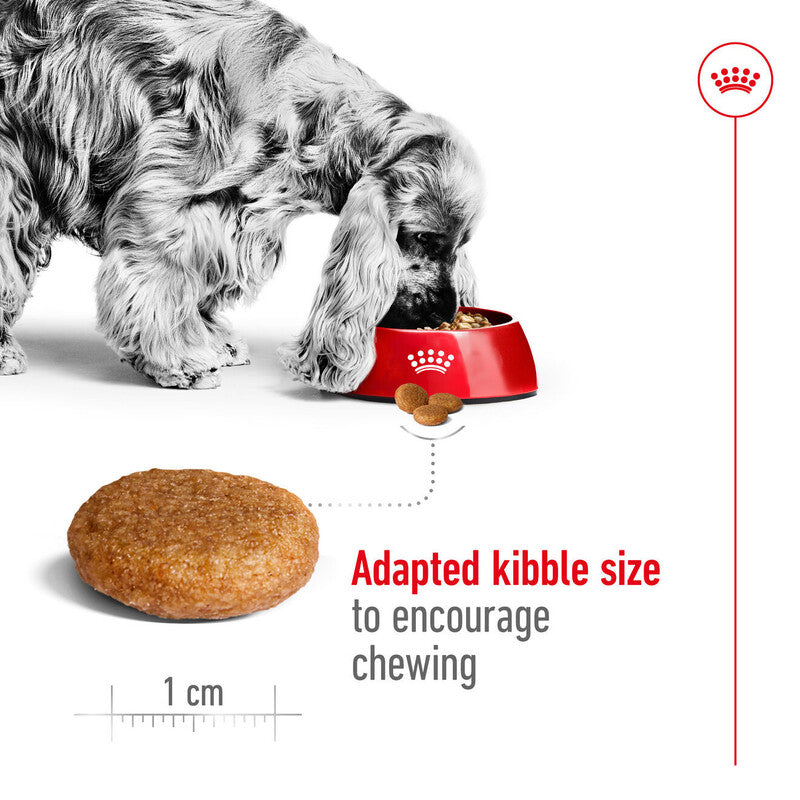 Royal Canin Medium Adult 15kg