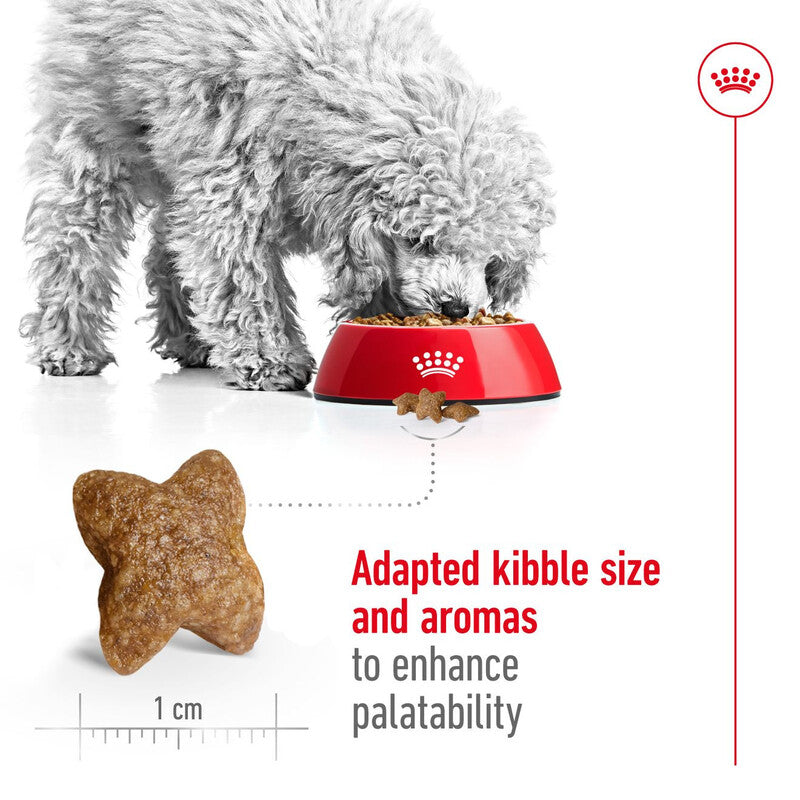 Royal Canin Mini Adult 2kg