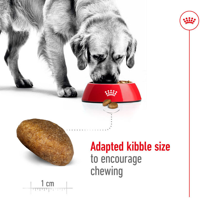 Royal Canin Maxi Adult 3kg