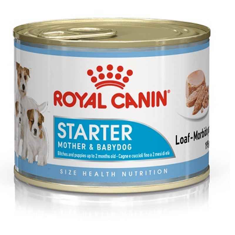 Royal Canin Starter Mousse Mother & Baby 195g x 12