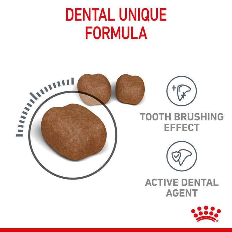 Royal Canin Dental Care Cat Food 400g