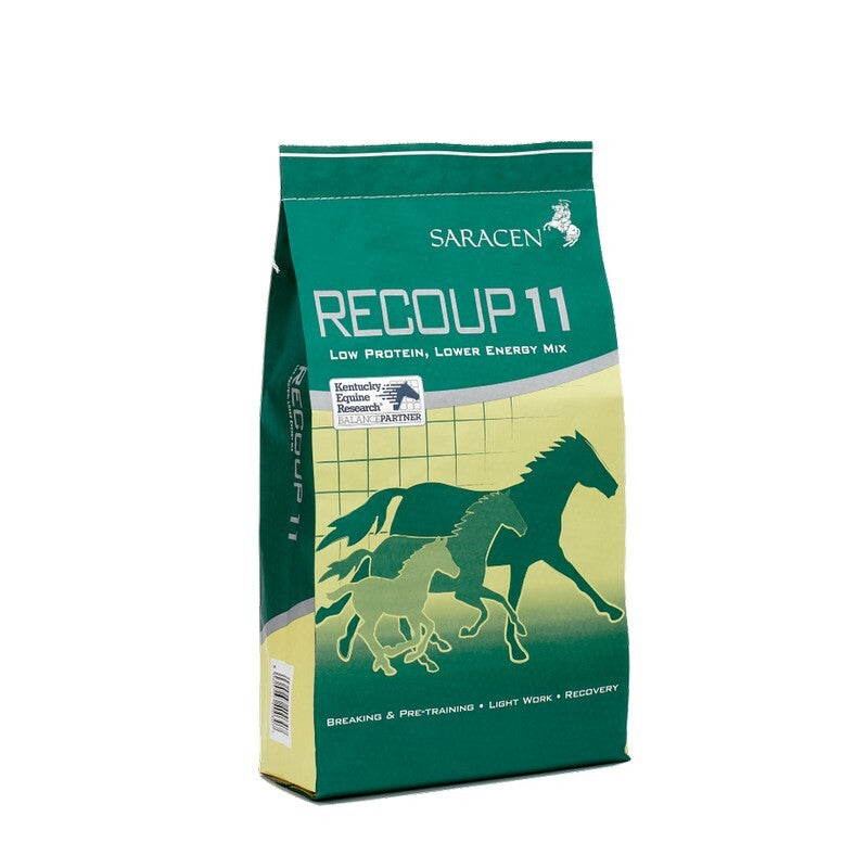 Saracen Recoup 11 20kg