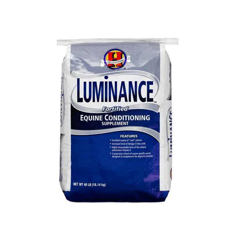 Saracen Luminance 20kg