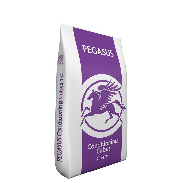 Spillers Pegasus Conditioning Cubes 20kg
