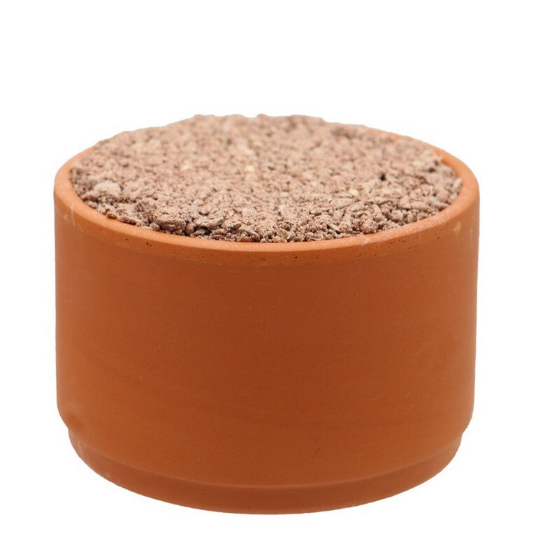 Versele Laga Colombine Pickstone Red Tray 5+1 3.6 kg