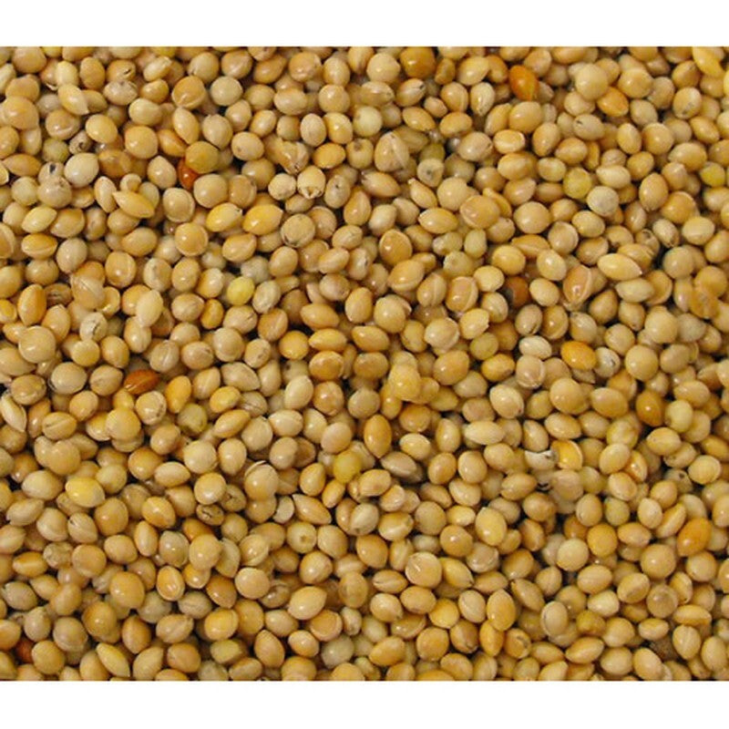 Versele Laga Yellow Millet seed 25kg