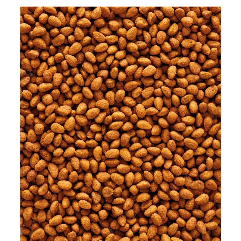Versele Laga NutriBird G14 Original 10kg