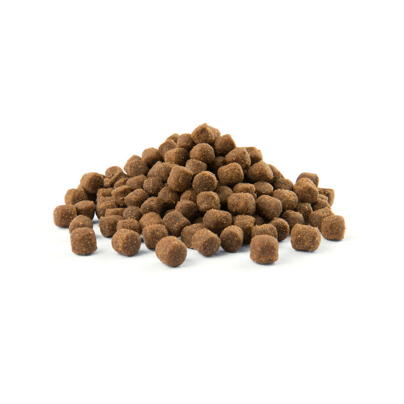 Versele Laga Opti Life Adult Skin Care Mini Salmon 7.5 kg