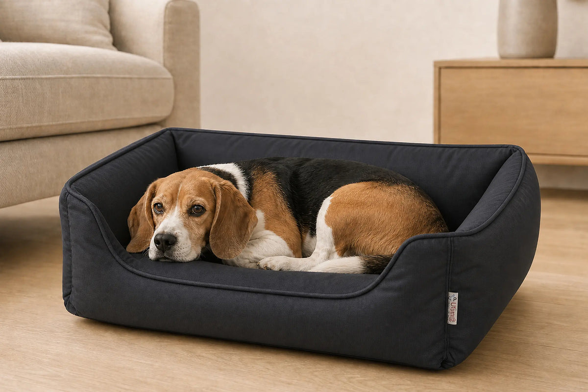 Ultima Bed X-Large Navy