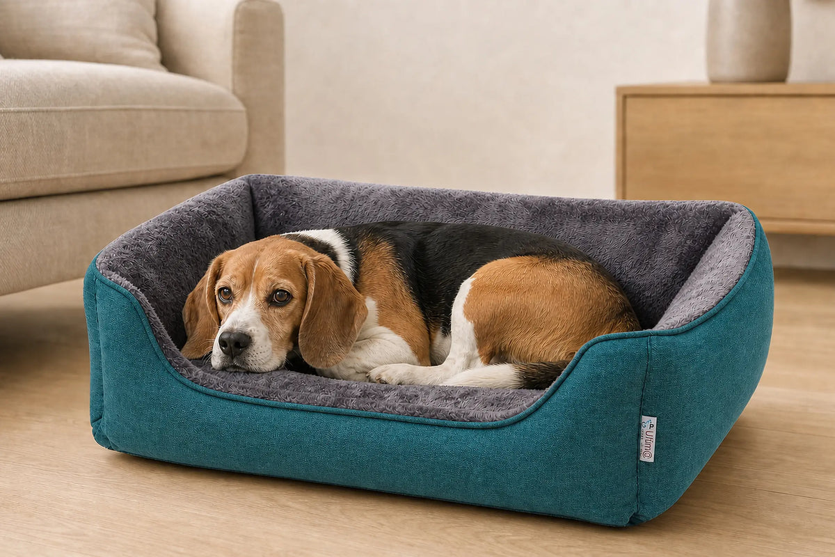 Ultima Bed Small Teal
