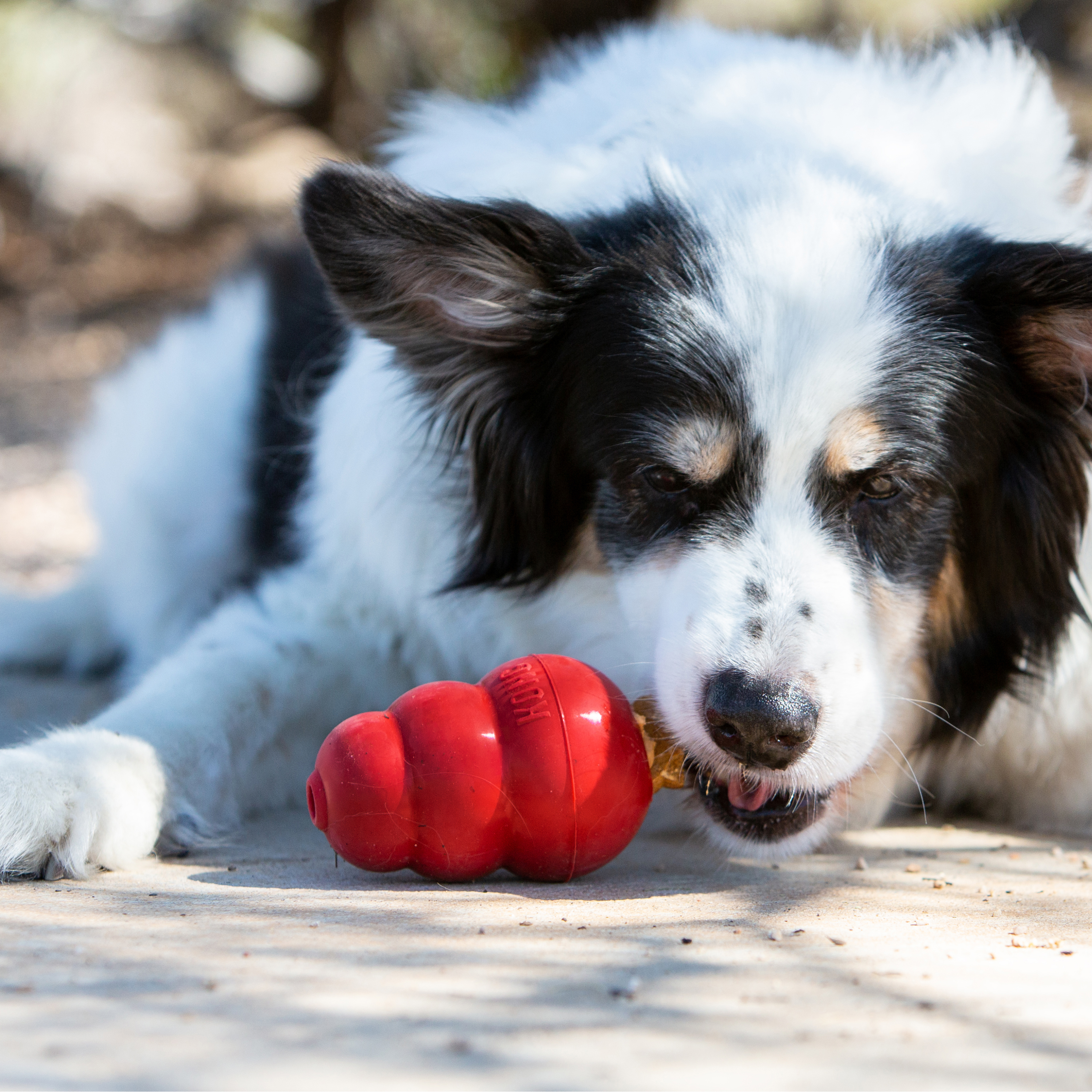 Kong Snacks Liver L