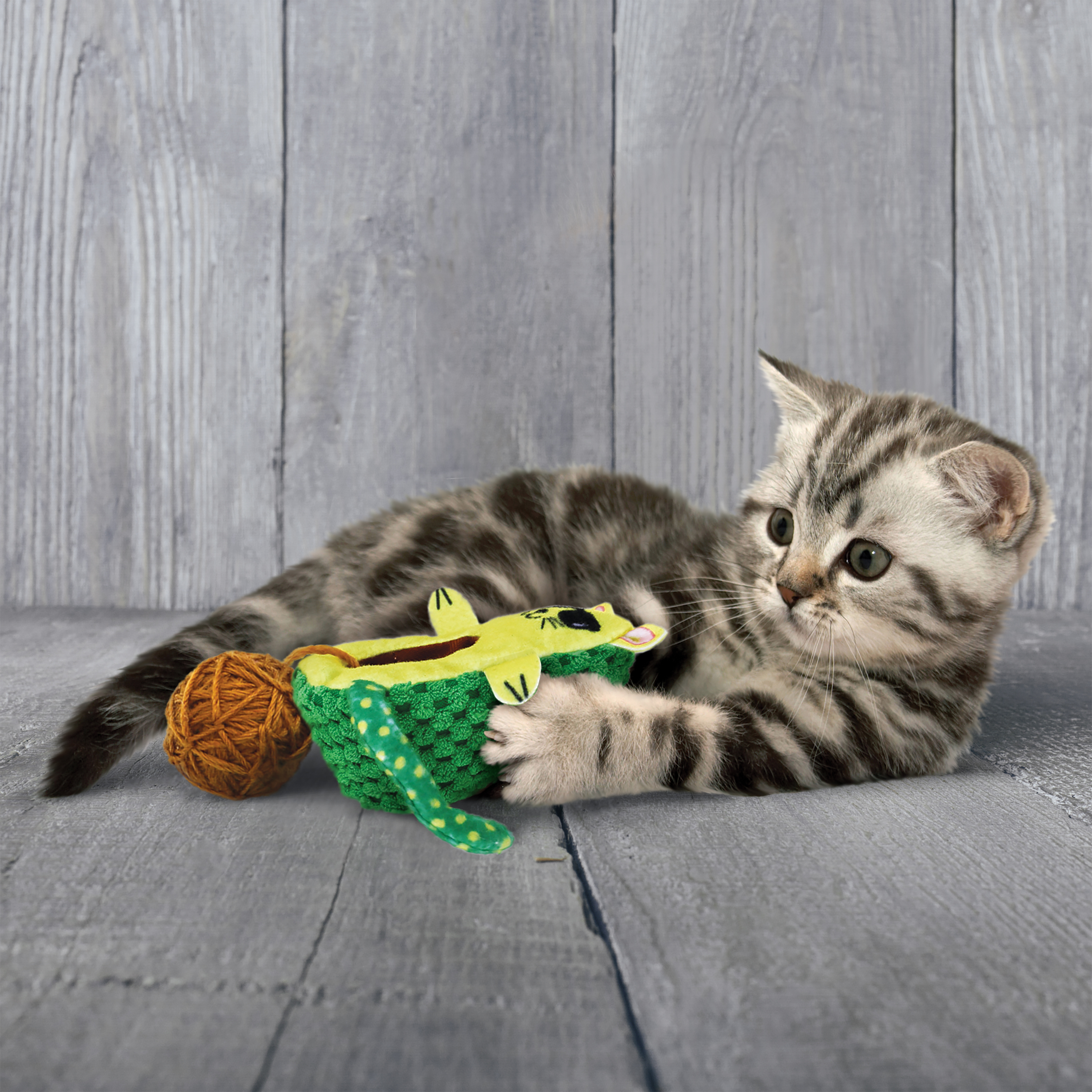 Kong Cat Wrangler AvoCATo