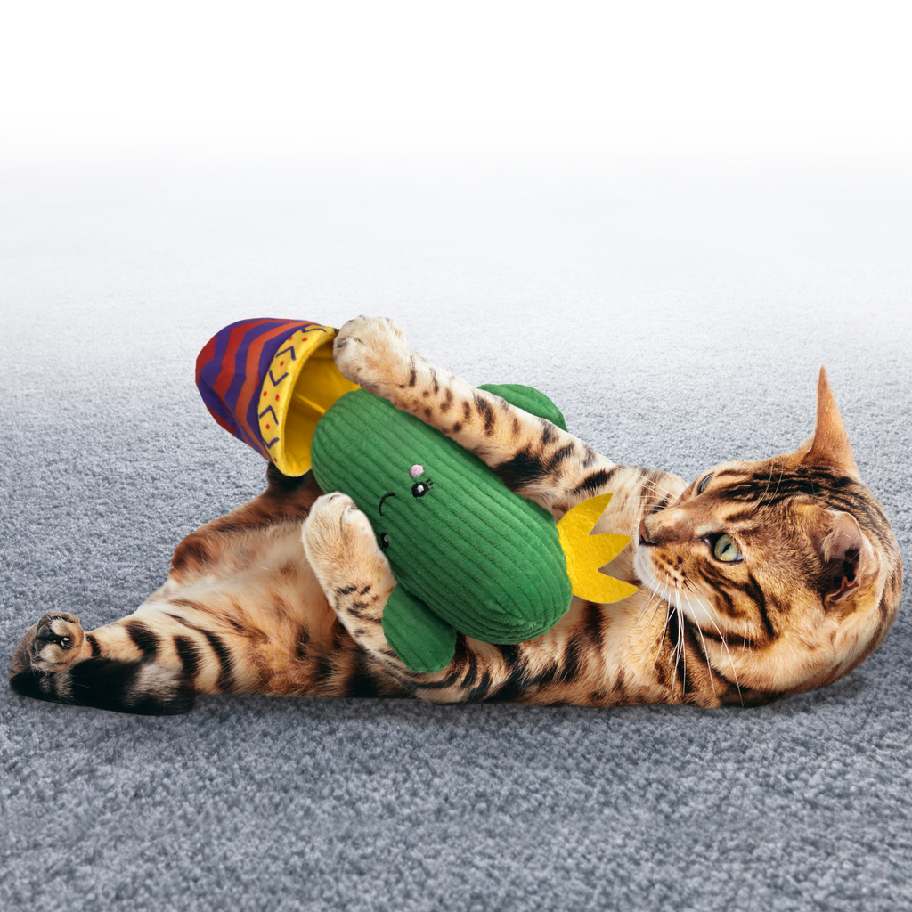 Kong Xmas Cat Wrangler Cactus Each