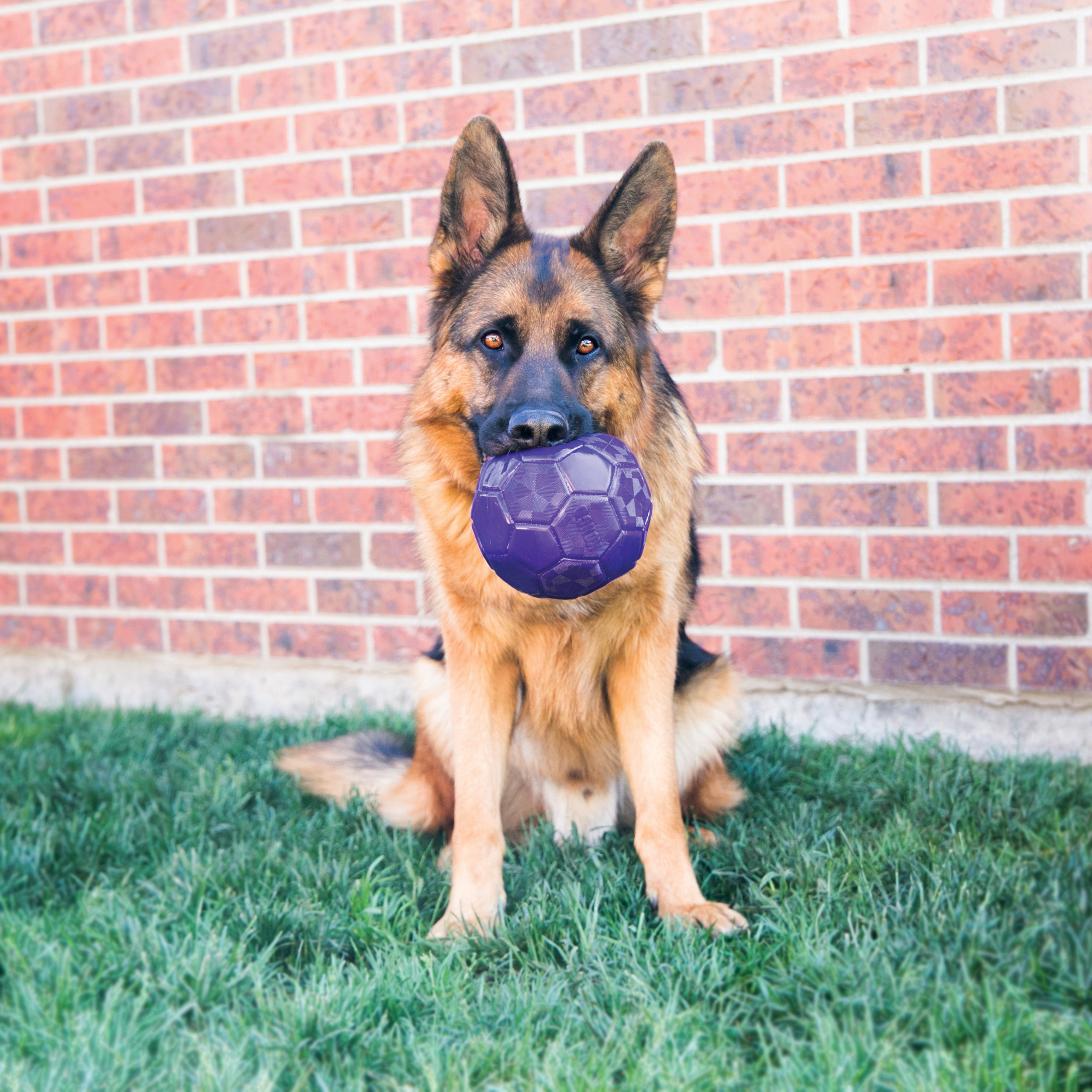 Kong Flexball Med/Large