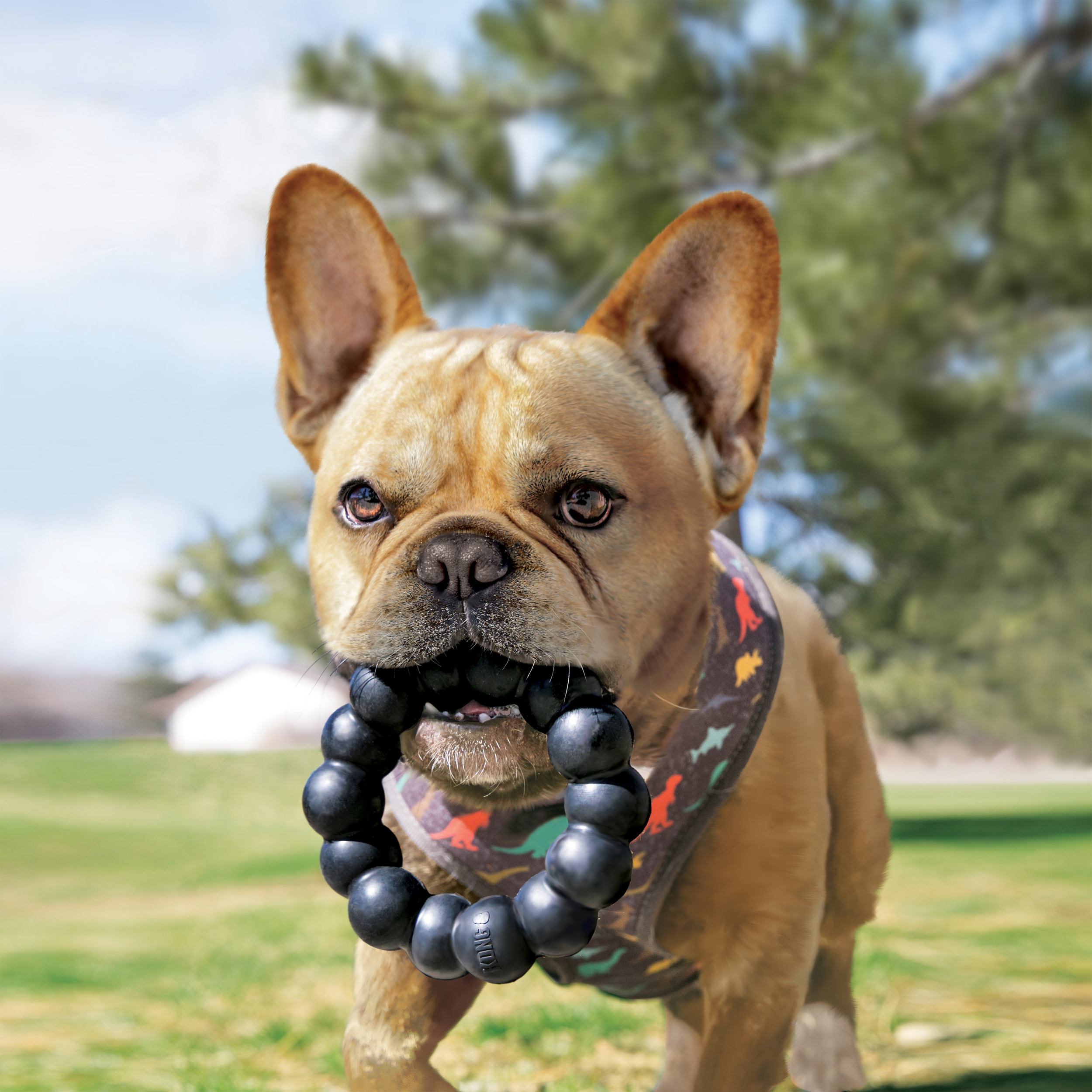 Kong Extreme Ring XL