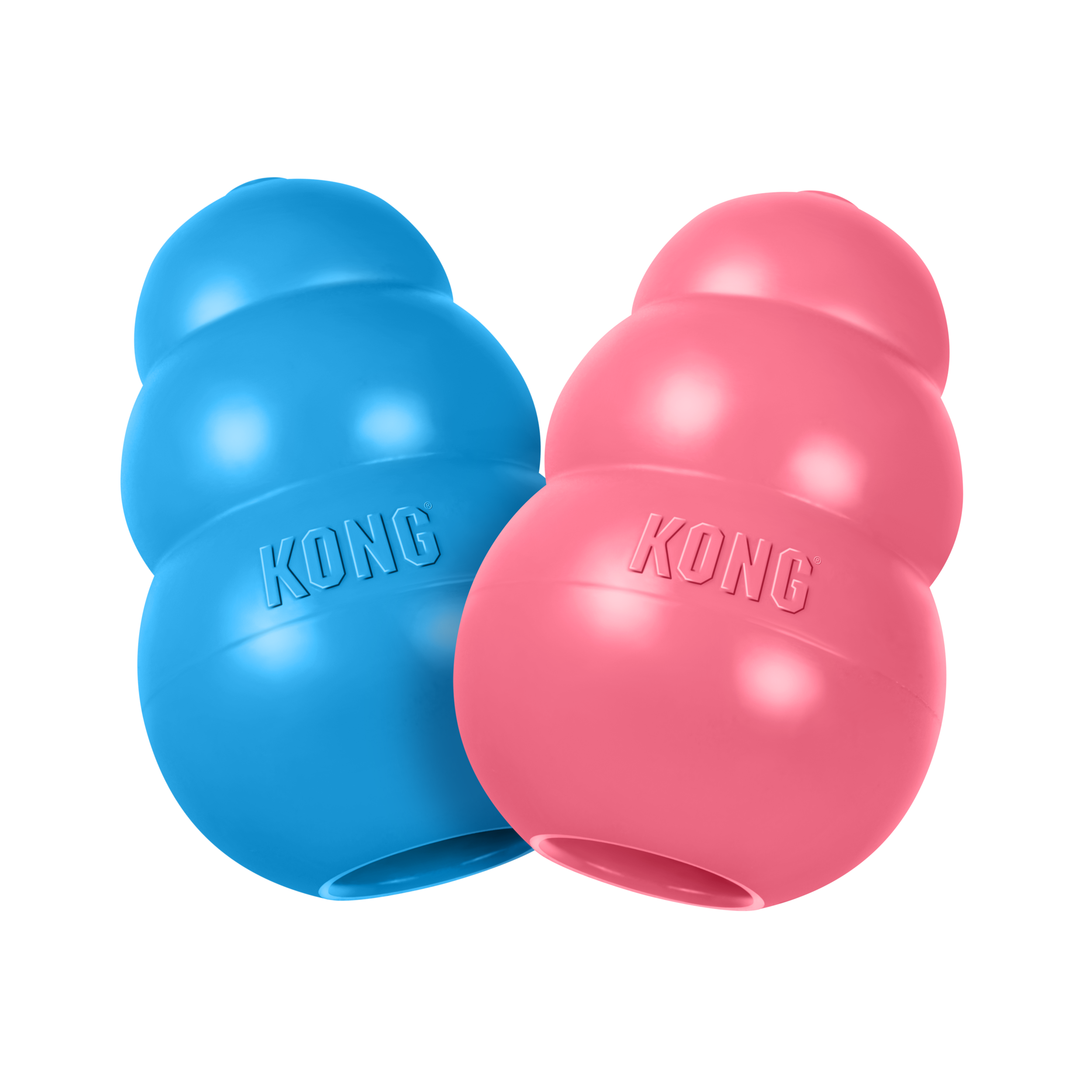 Kong Puppy L