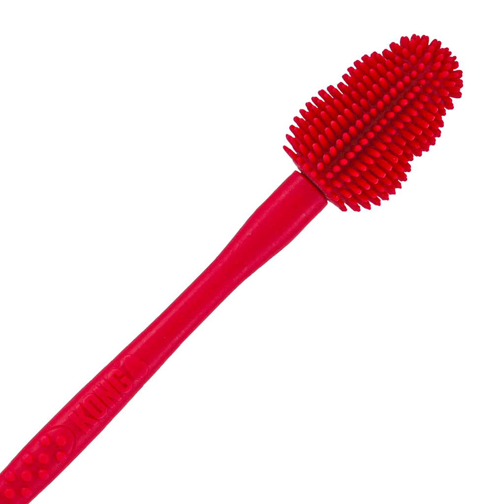 KONG Brush EU