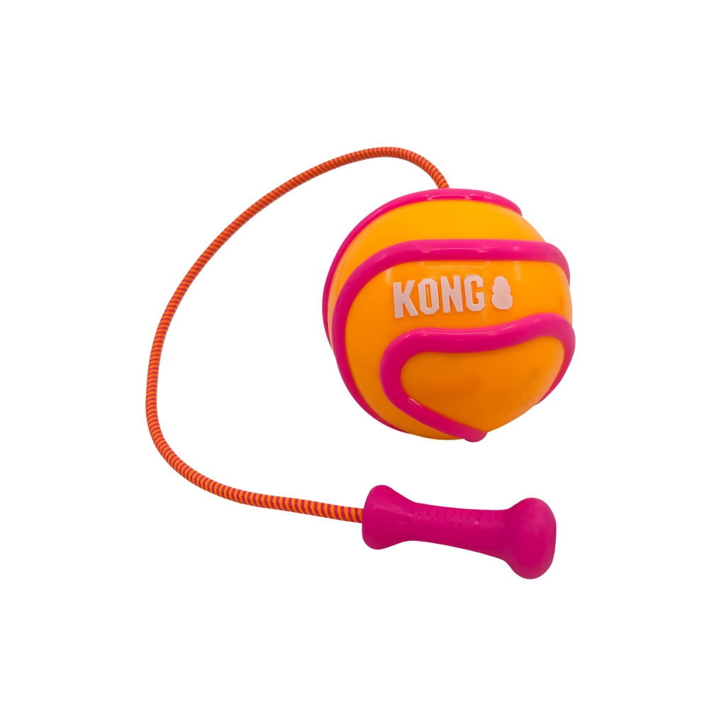 Bunji High-Viz Ball Assorted Lg EU