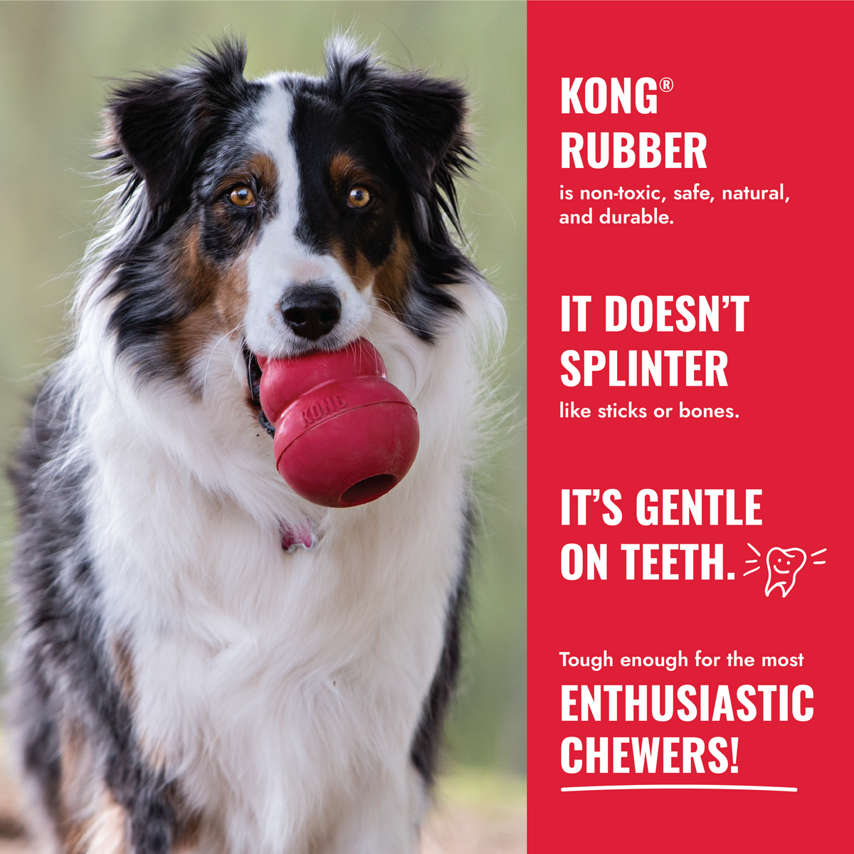 KONG Classic w/Rope Lg EU