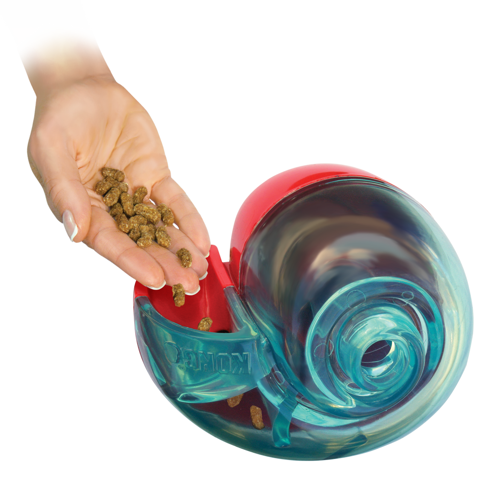 Kong Rewards Shell Small