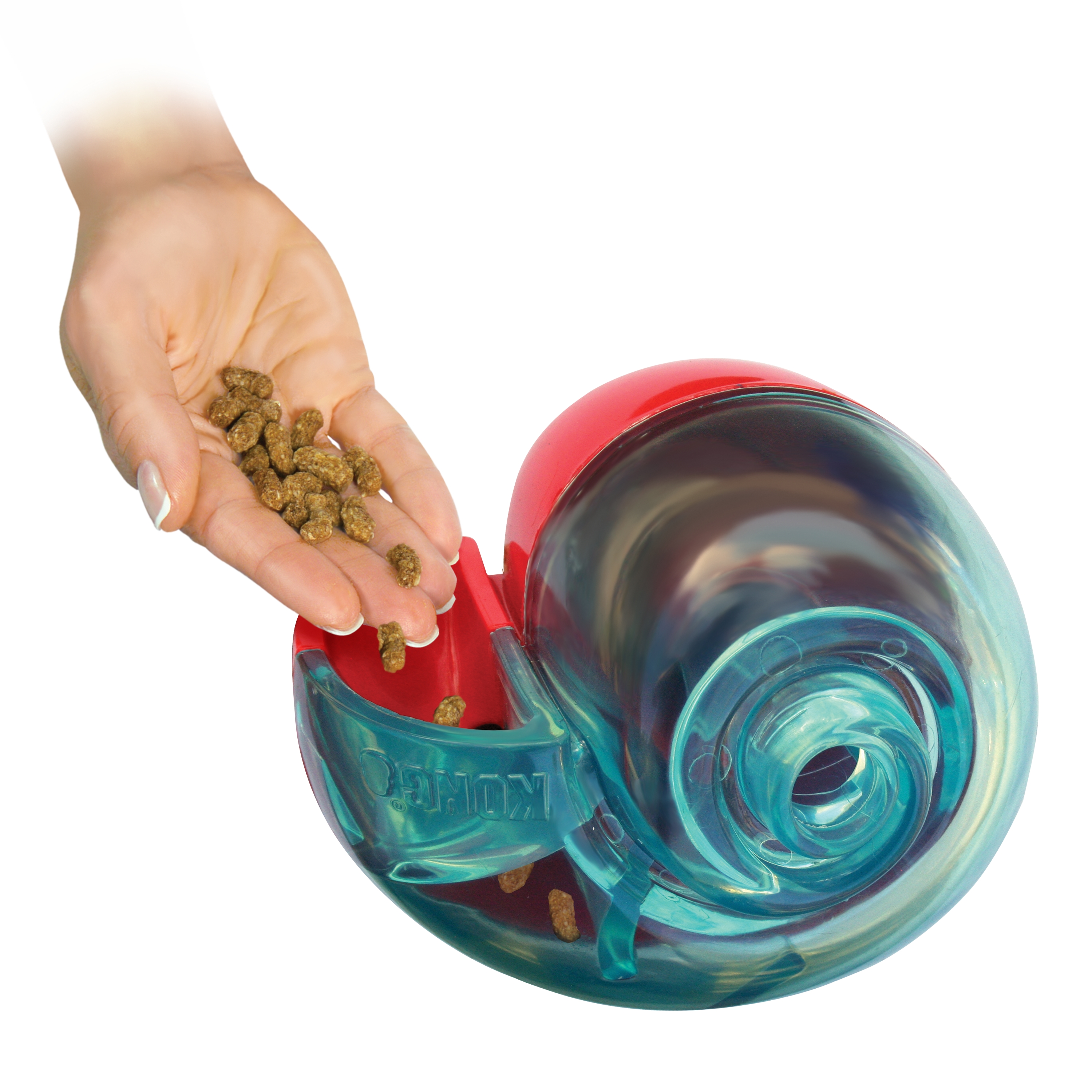 Kong Rewards Shell Small