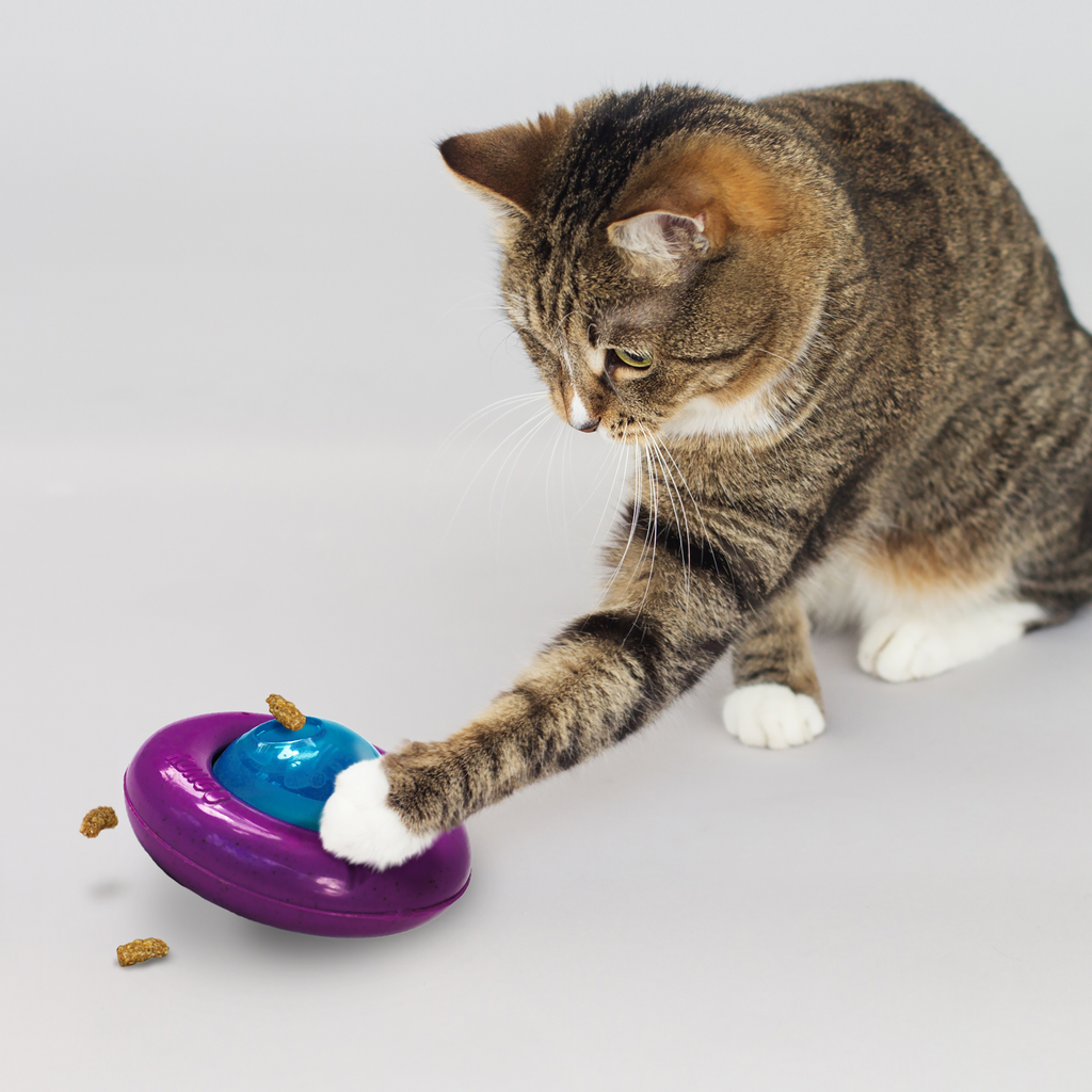 Kong Cat Infused Cat Gyro