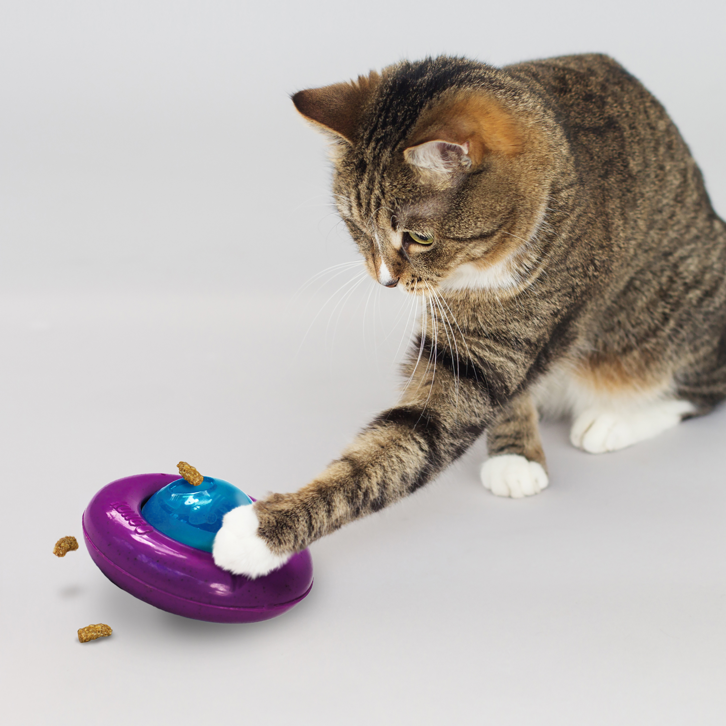 Kong Cat Infused Cat Gyro